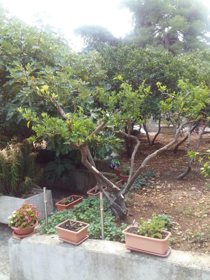 Apartamento Manda Ljubetic Sutivan Exterior foto