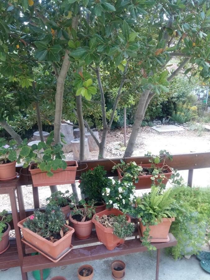 Apartamento Manda Ljubetic Sutivan Exterior foto