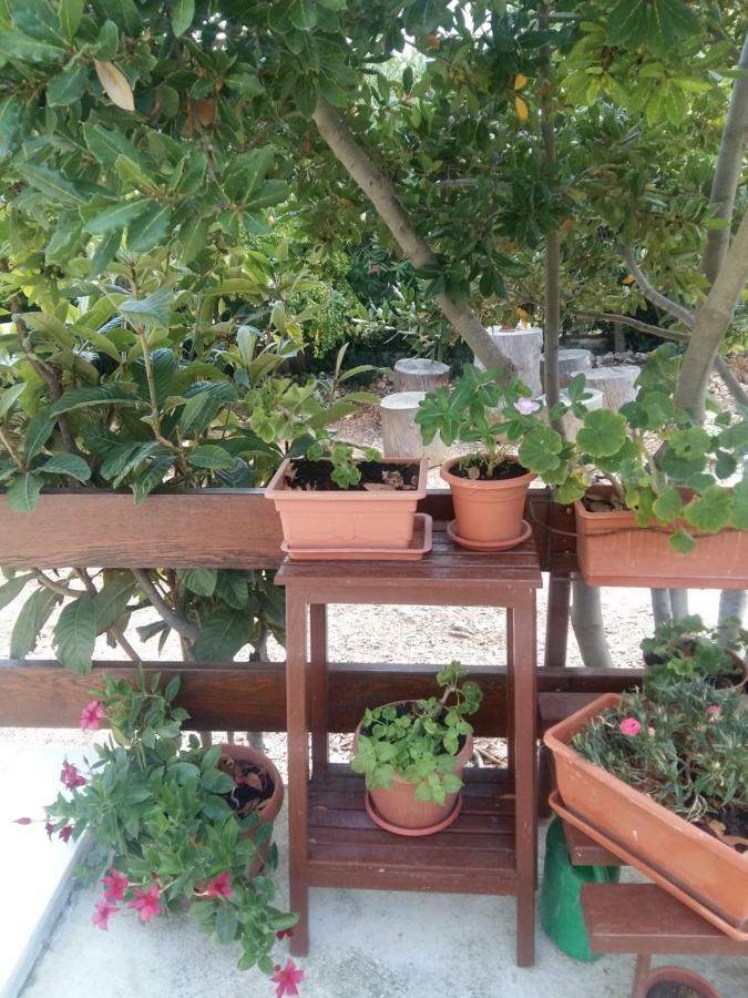 Apartamento Manda Ljubetic Sutivan Exterior foto